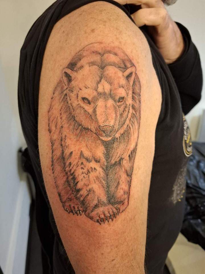 Créations – Louviers